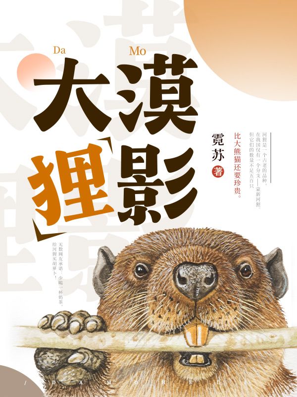 大漠狸影