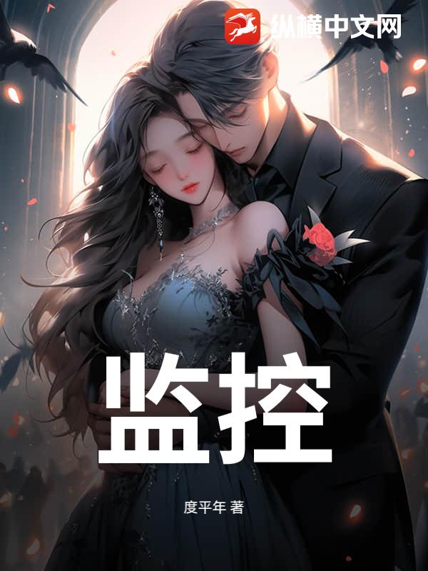 监控_度平年