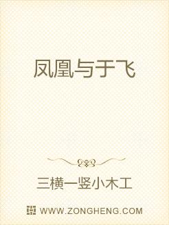 凤凰于飞扬琴曲谱_凤凰于飞曲谱(4)