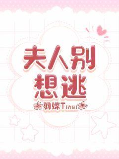 夫人别想逃