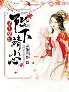 杀手皇妃:陛下,请小心