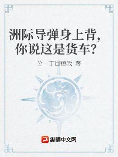 我开货车送快递，你说这是洲际导弹？小说