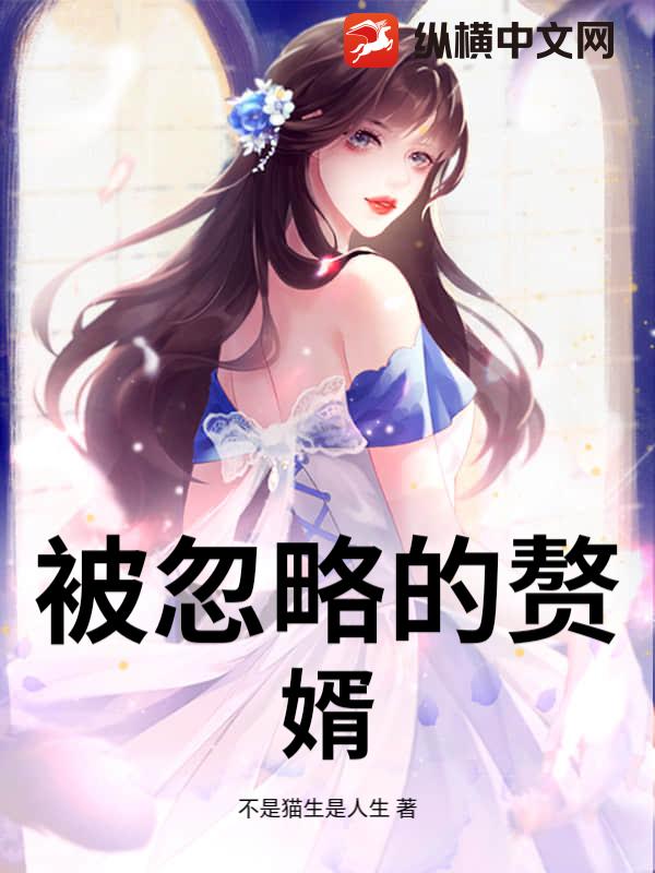 被忽略的赘婿