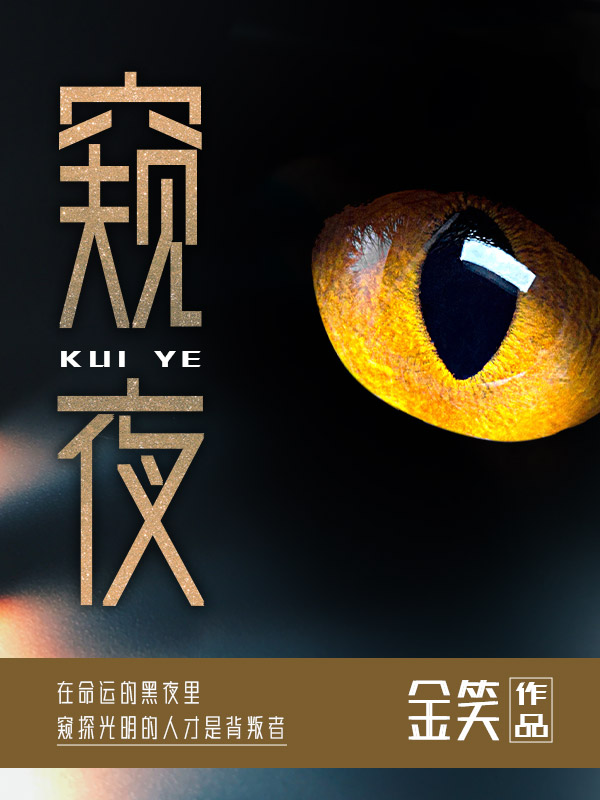 窥夜