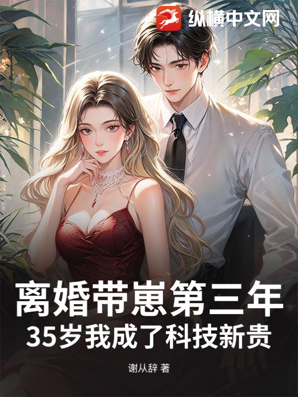 离婚带崽第三年，35岁我成了科技新贵_谢从辞