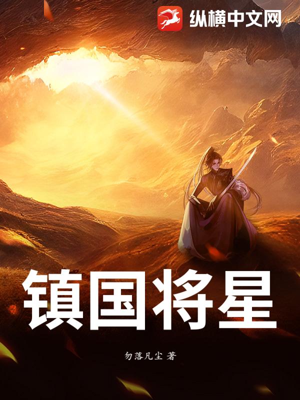 镇国将星
