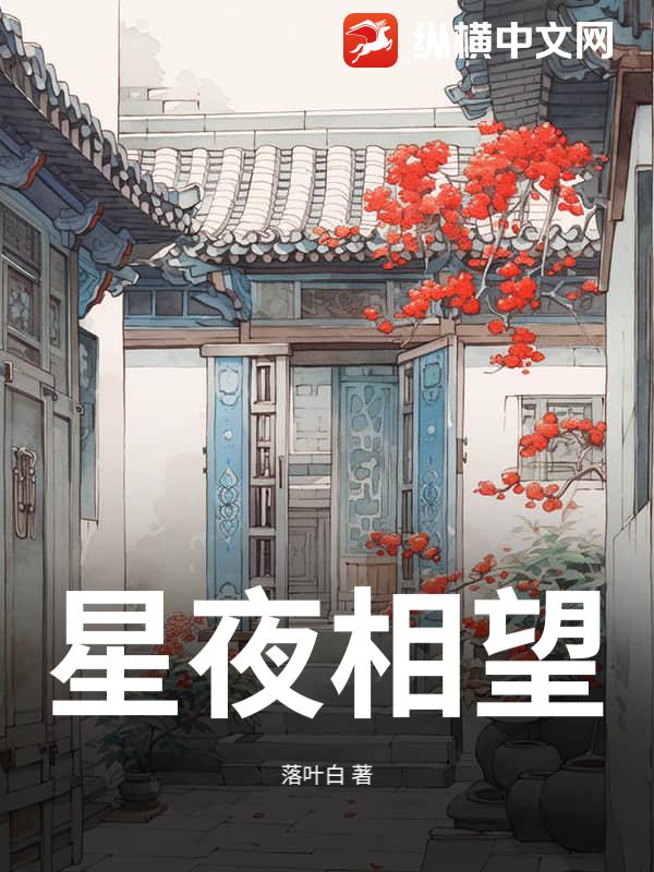 星夜相望小说