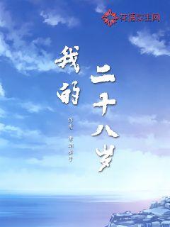 我的二十八岁