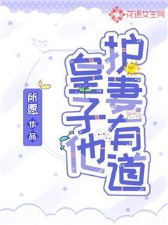 皇子他护妻有道