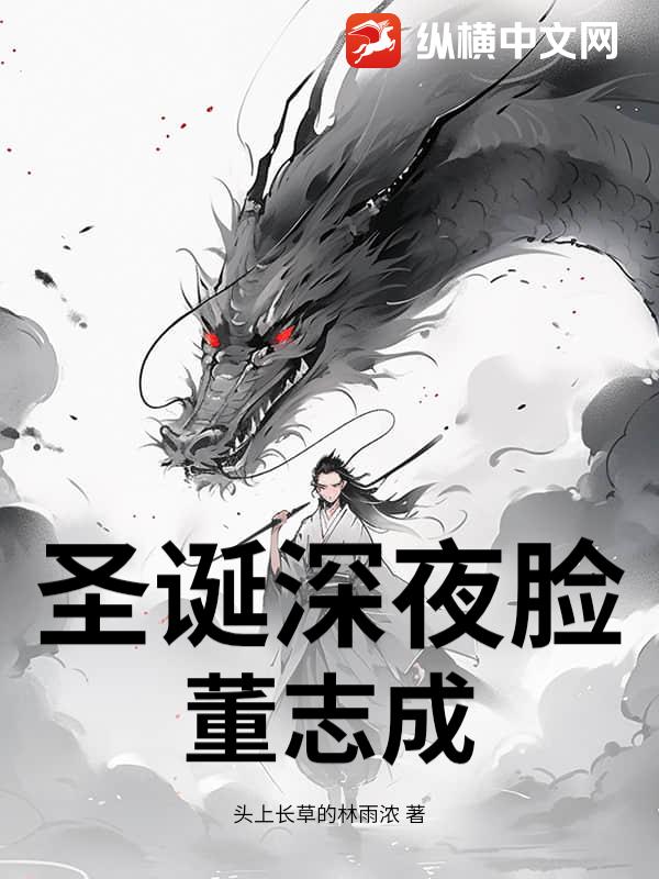 圣诞深夜脸董志成