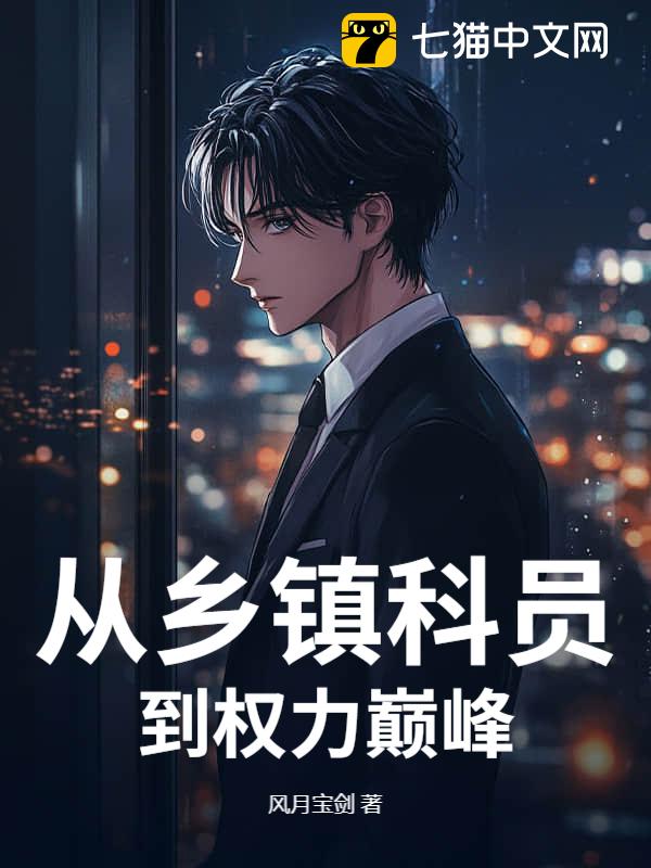 从乡镇科员到权力巅峰