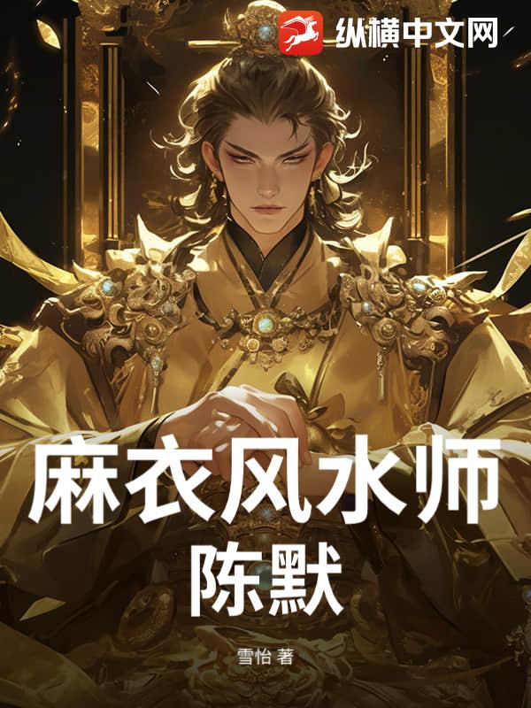 麻衣风水师陈默小说