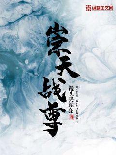 崇天战尊