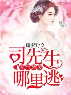 元气娇妻，司先生哪里逃