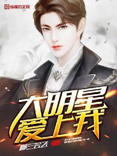 大明星爱上我