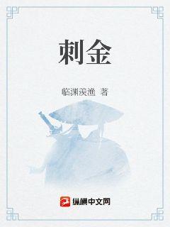 刺金全本免费TXT