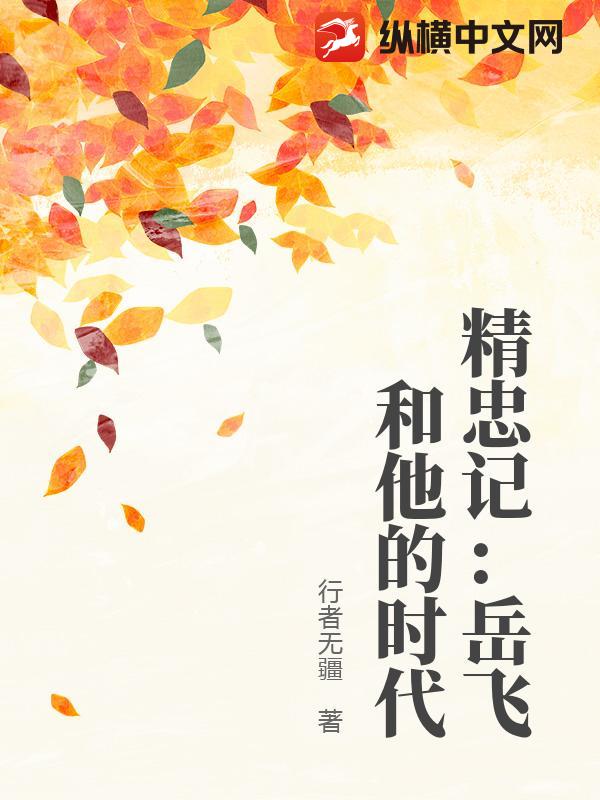 精忠记：岳飞和他的时代