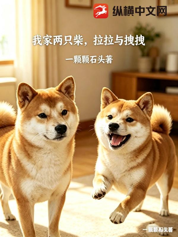 我家两只柴：拉拉与拽拽