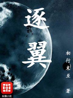 逐翼