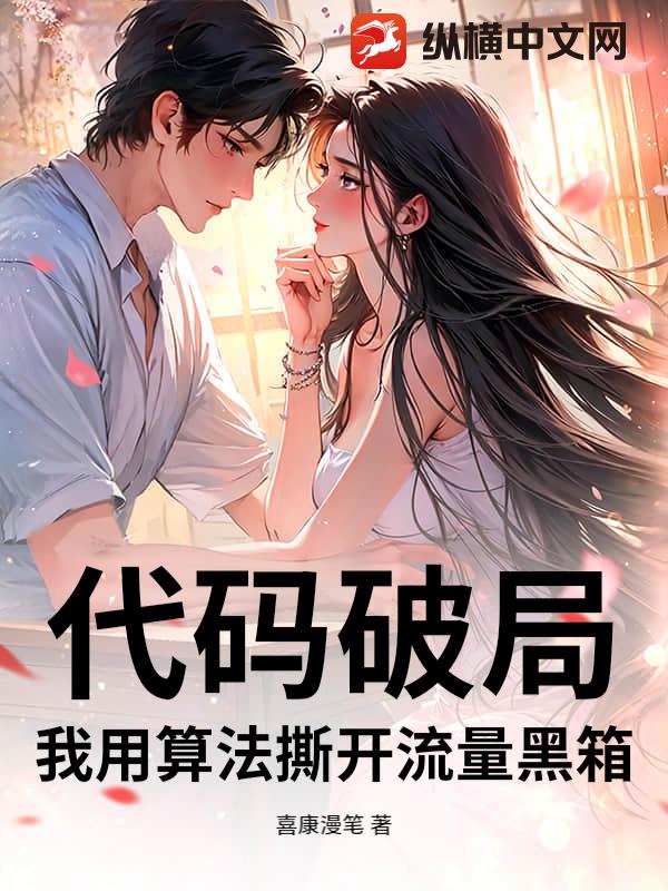 代码破局：我用算法撕开流量黑箱