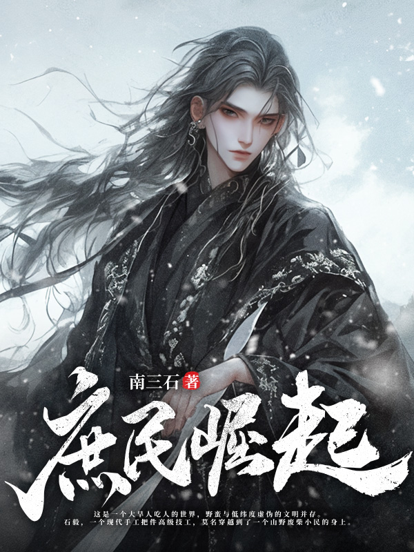 庶民崛起小说