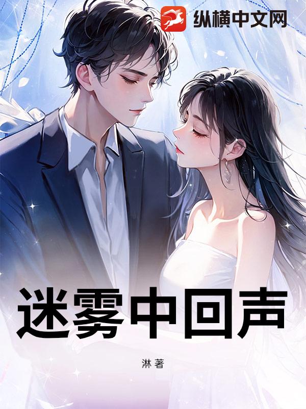 迷雾中回声