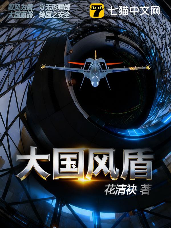 大国风盾