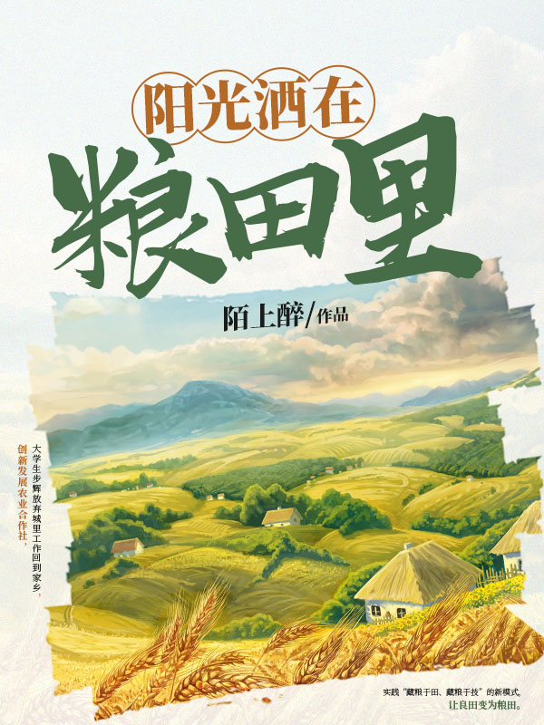 阳光洒在粮田里