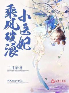 乘风破浪小医妃