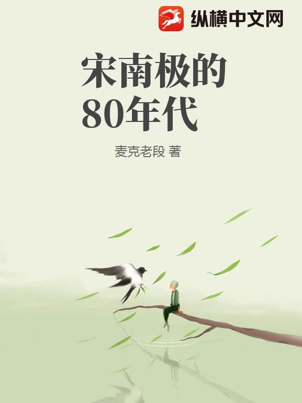 宋南极的80年代