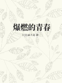 爆燃的青春
