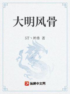 大明风骨全本免费TXT