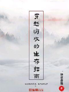 林天天洛小说免费阅读