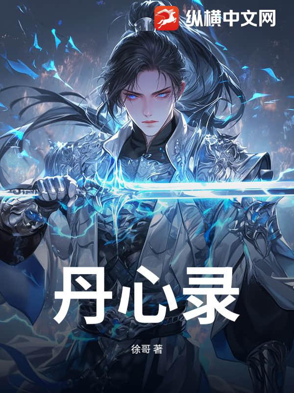 丹心录