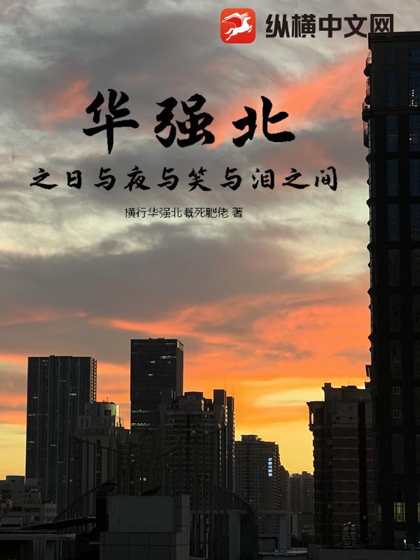 华强北之日与夜与笑与泪之间