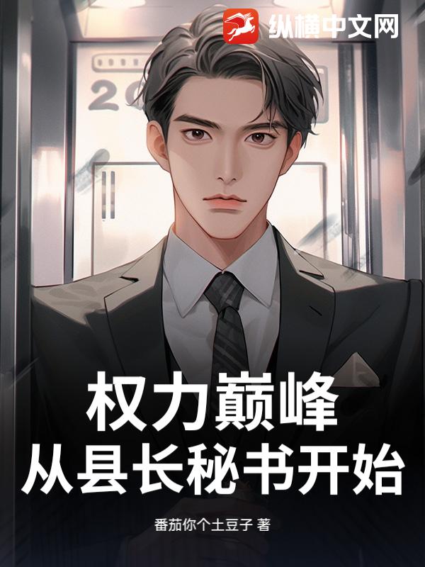 权力巅峰：从县长秘书开始