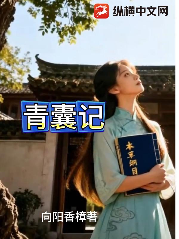 青囊记