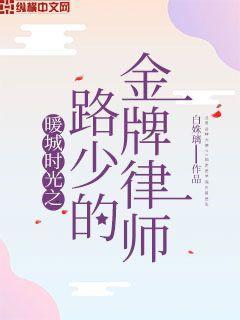 暖城时光之路少的金牌律师