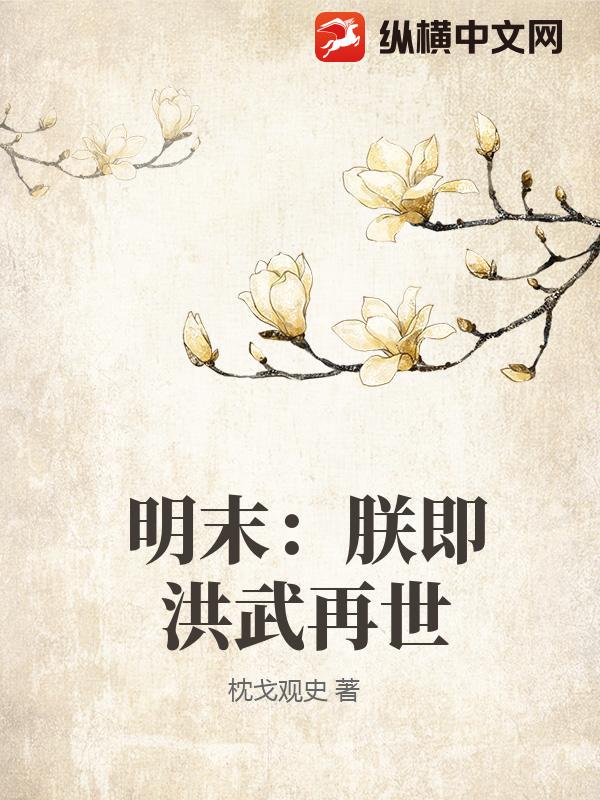 明末：朕即洪武再世_枕戈观史