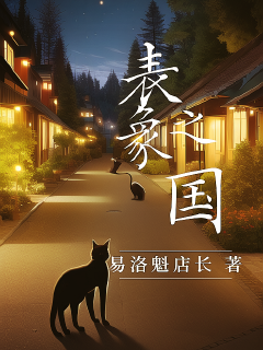 表象之国