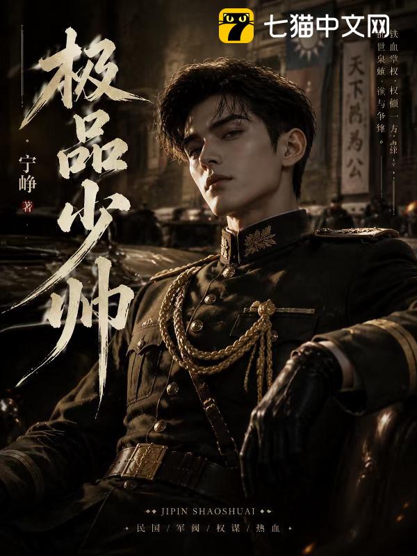 极品少帅