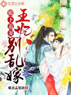 殿下追妻：王妃别乱嫁