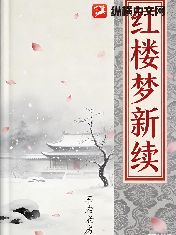 红楼梦新续