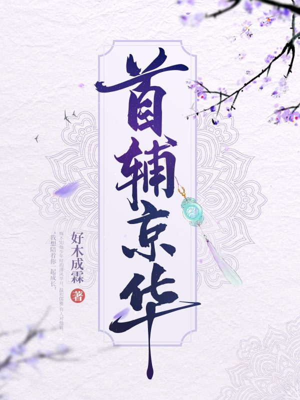 首辅京华