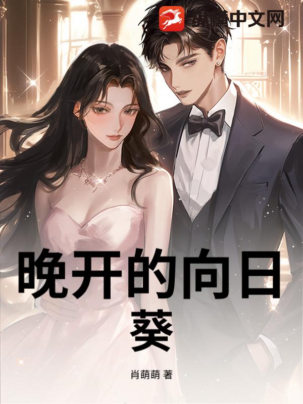 晚开的向日葵