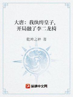 大唐：我纨绔皇子，开局融了李二龙椅