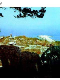 大海贼时代崛起