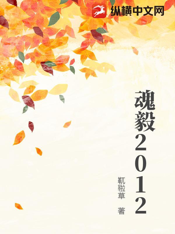 魂毅2012