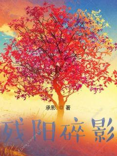 原名叫做残阳碎影