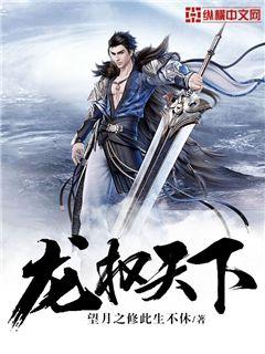 龙权天下